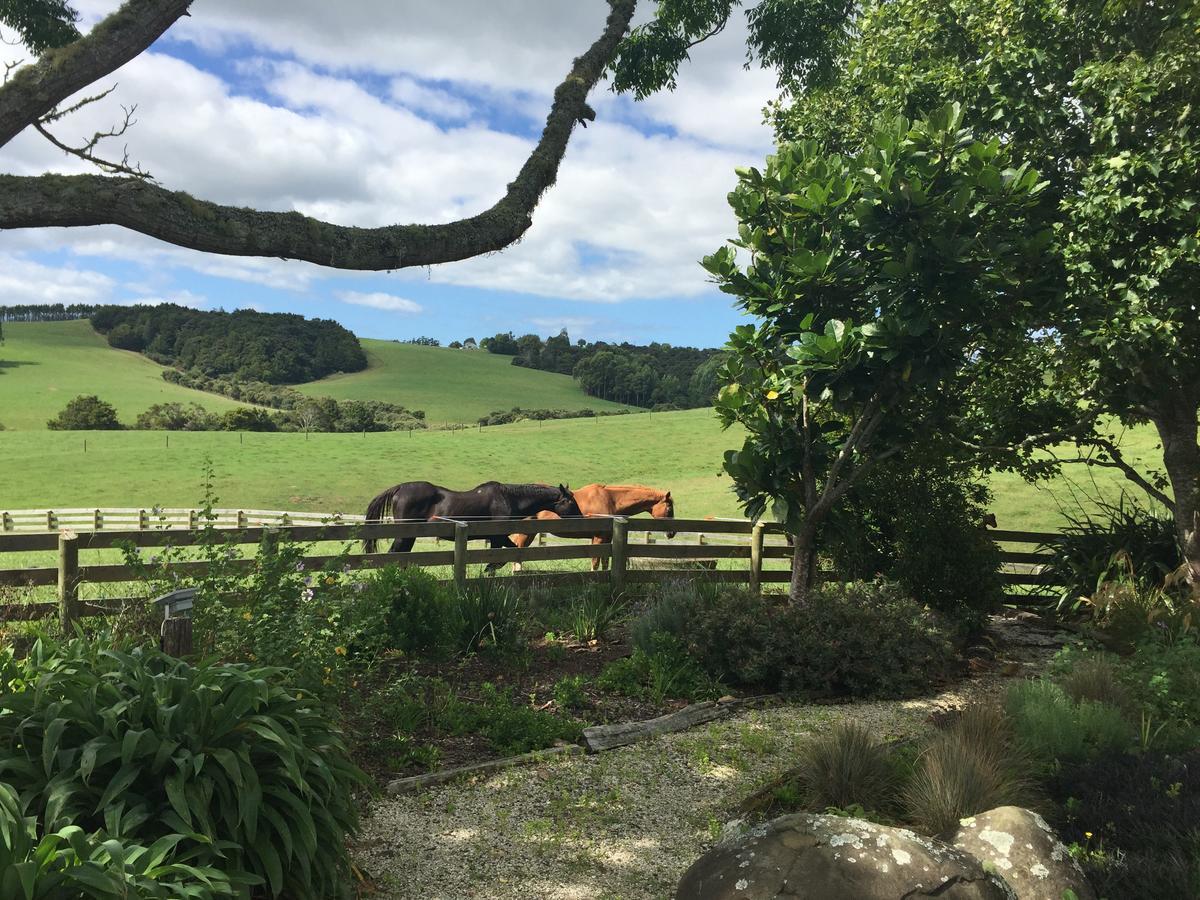 Quail Lodge Nz Snells Beach Exteriör bild